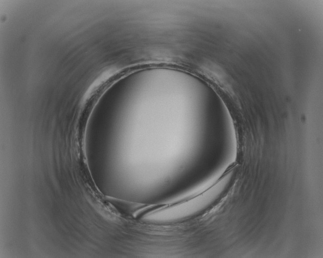 X0000062921172200601181237