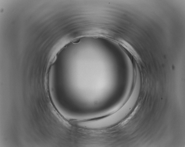 X0000062921196200601181236