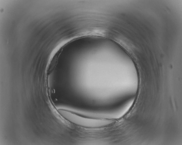 X0000062921200200601181236