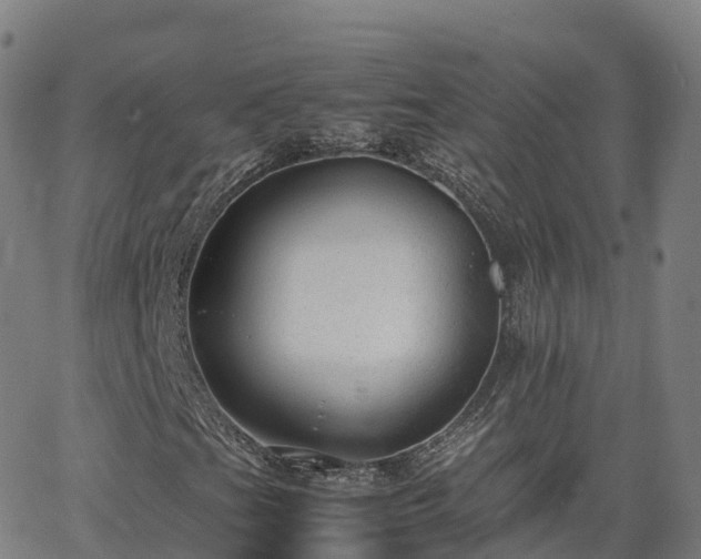 X0000062921201200601181236