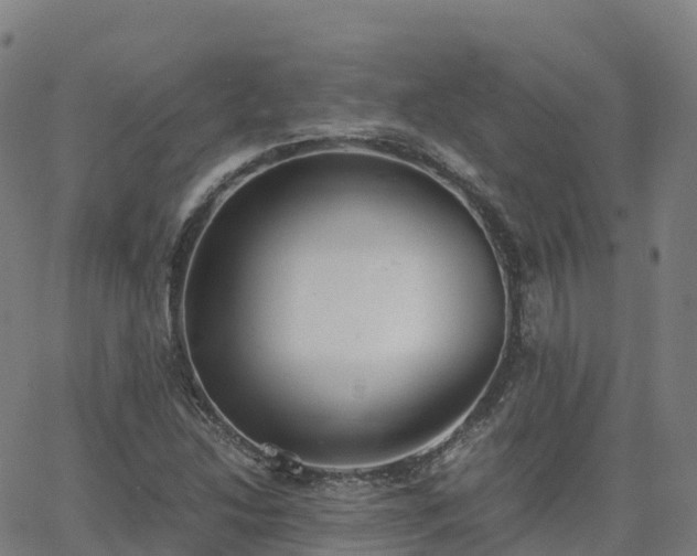 X0000062921214200601181236