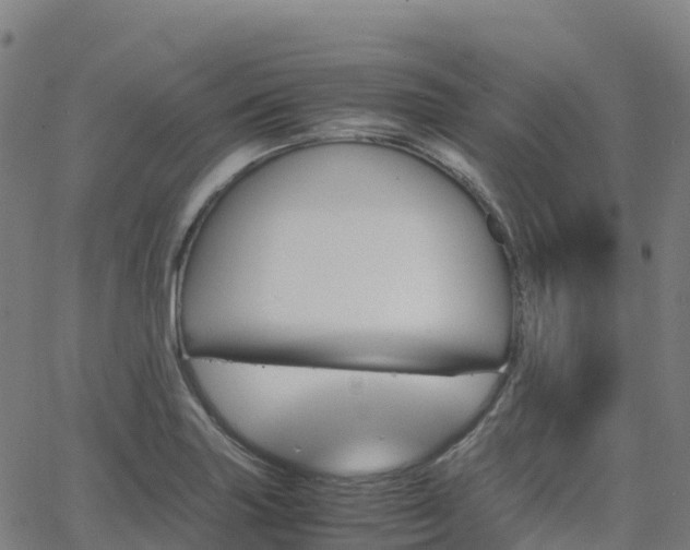 X0000062921227200601181236