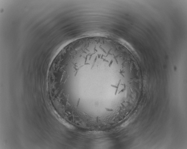 X0000062921236200601181236