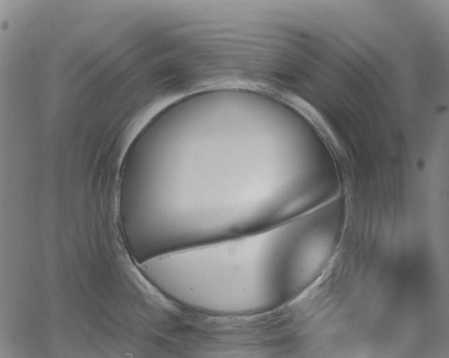 X0000062921244200601181236