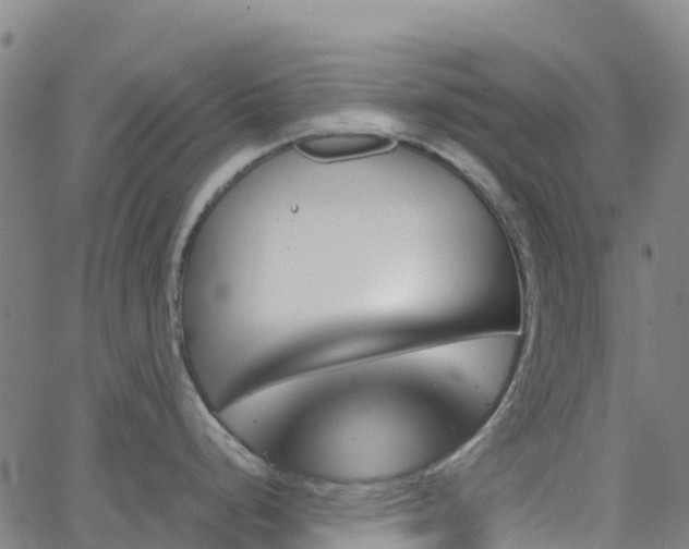 X0000062921248200601181236