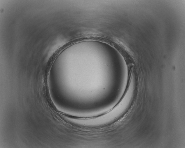 X0000062921261200601181235