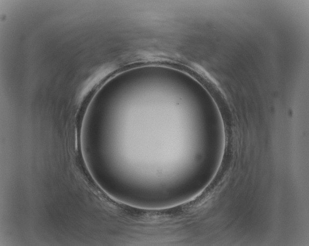 X0000062921269200601181235