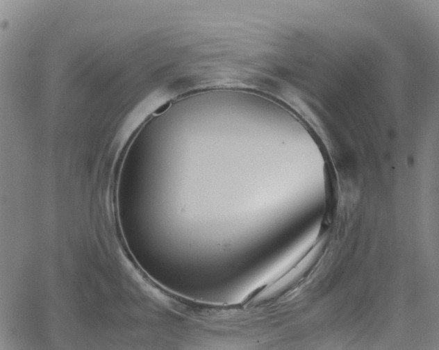 X0000062921293200601181235
