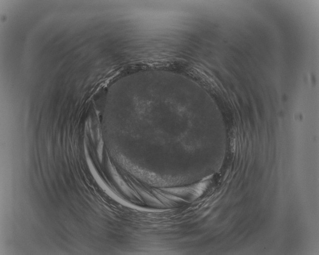 X0000062921298200601181234