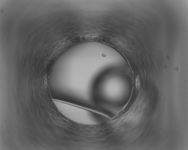 X0000062921299200601181234