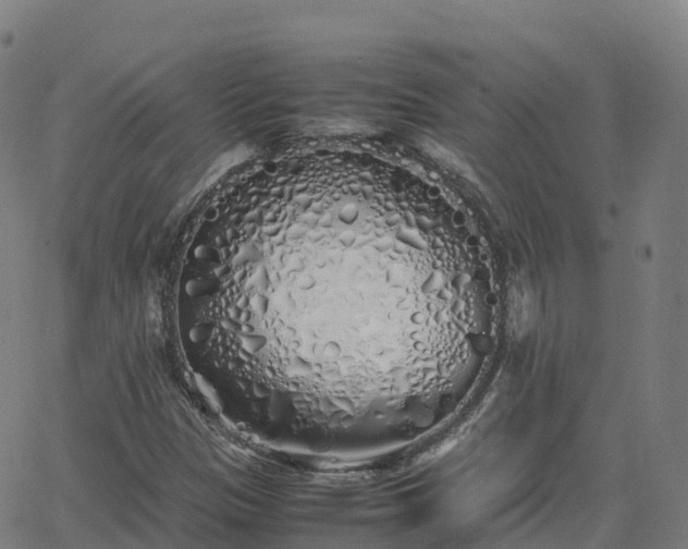 X0000062921305200601181234