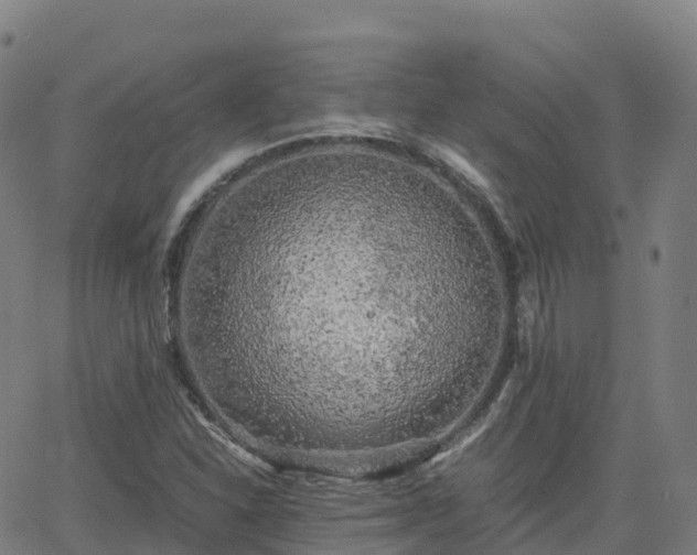 X0000062921310200601181234