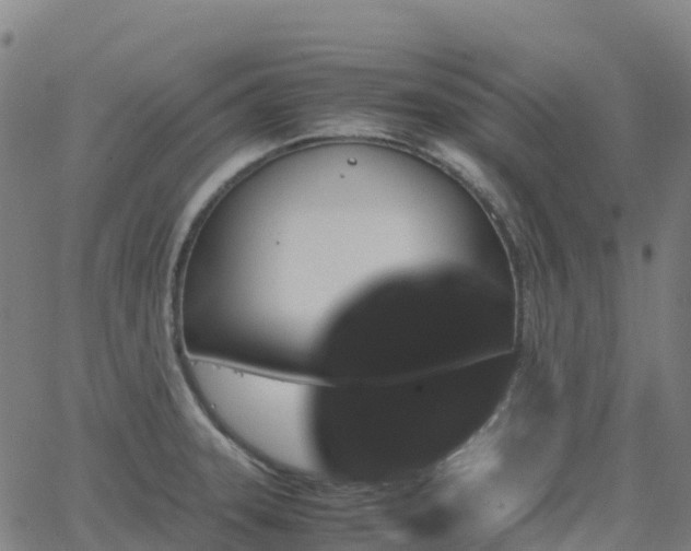 X0000062921331200601181235