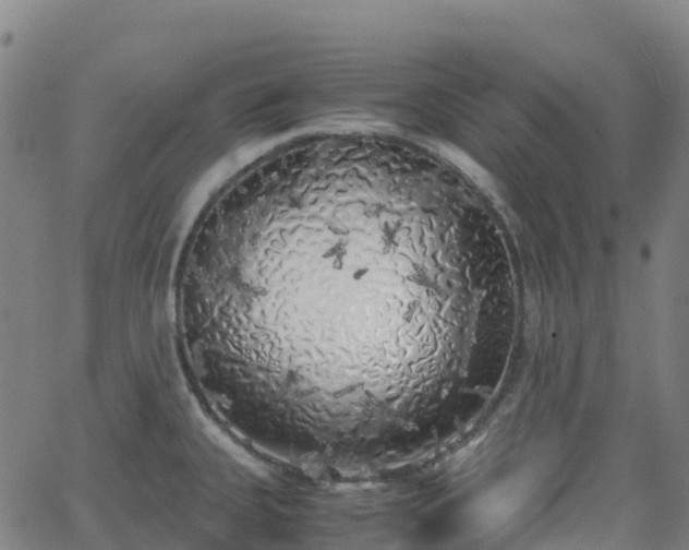 X0000062921335200601181235