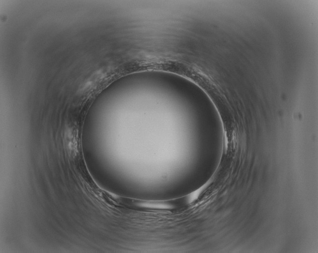 X0000062921348200601181234