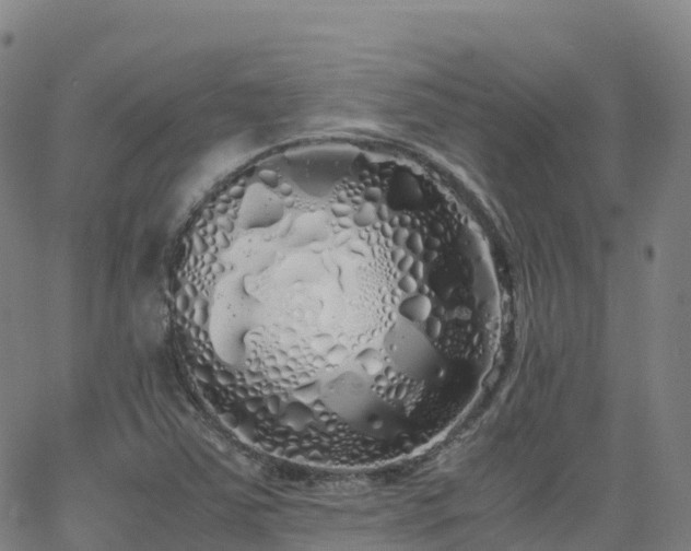 X0000062921363200601181234