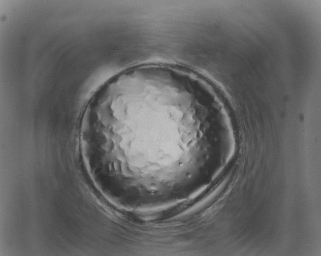 X0000062921367200601181234