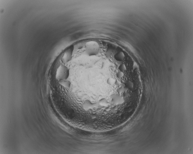 X0000062921371200601181234