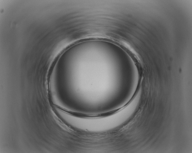 X0000062921372200601181234