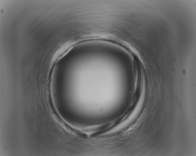 X0000062921373200601181234