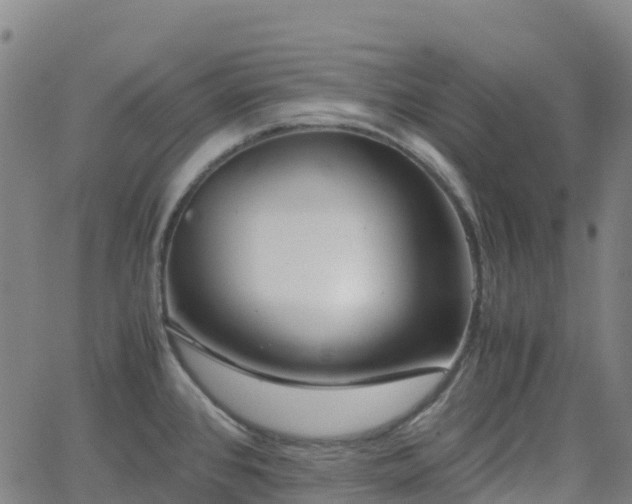 X0000062921384200601181233