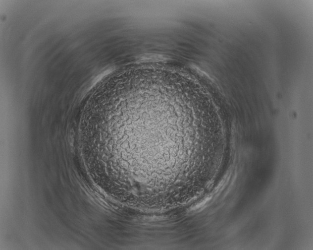 X0000062921401200601181233