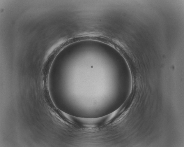 X0000062921406200601181233