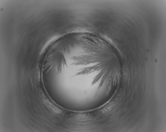 X0000062921408200601181233