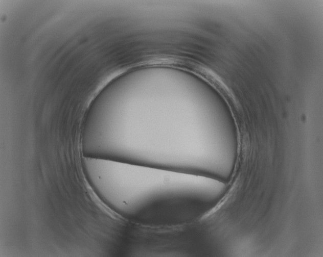 X0000062921417200601181233