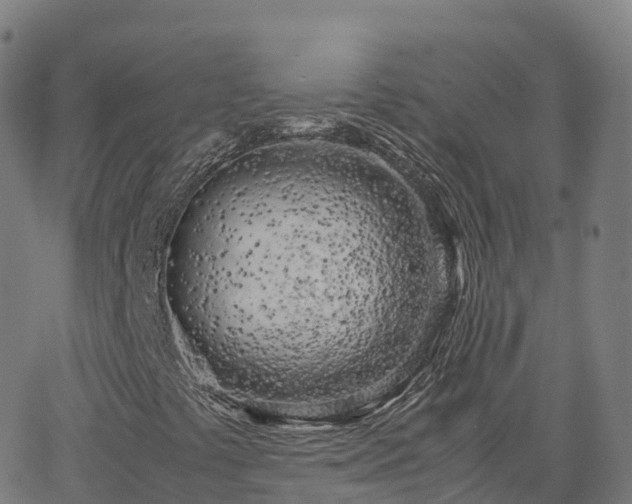 X0000062921441200601181232