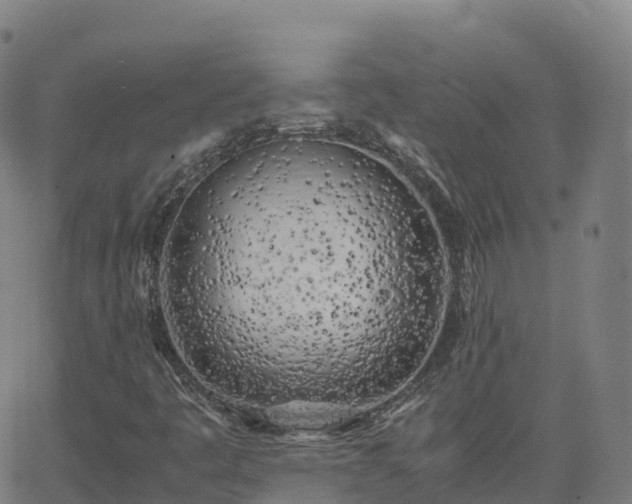 X0000062921445200601181232