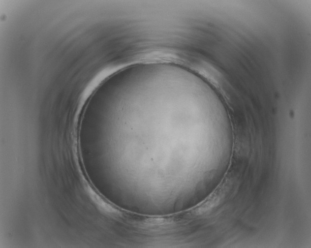 X0000062921478200601181232