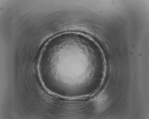 X0000062921497200601181231