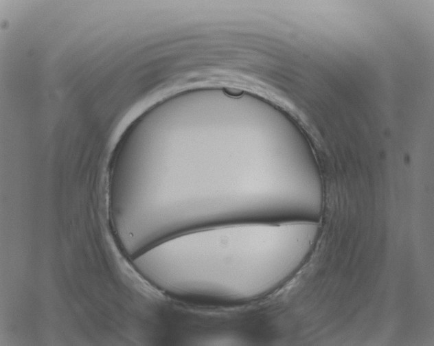 X0000062921522200601181231
