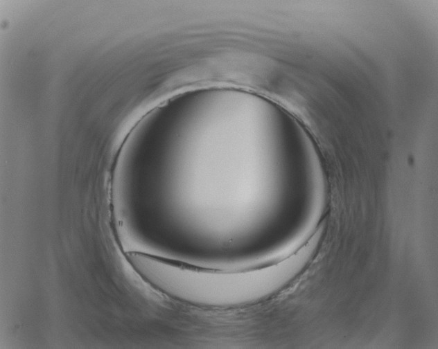 X0000062921524200601181232