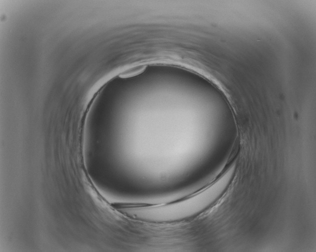 X0000062921534200601181232