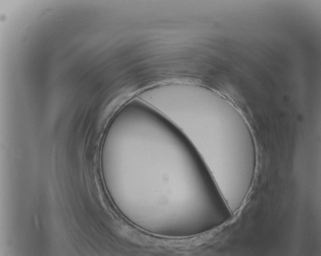 X0000062920001200601202013