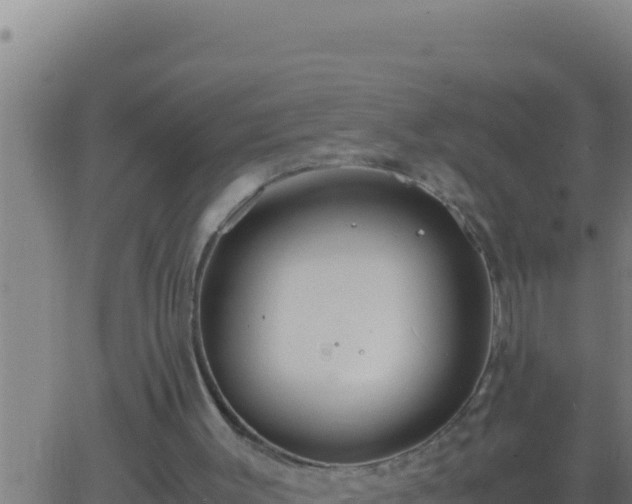 X0000062920003200601202013