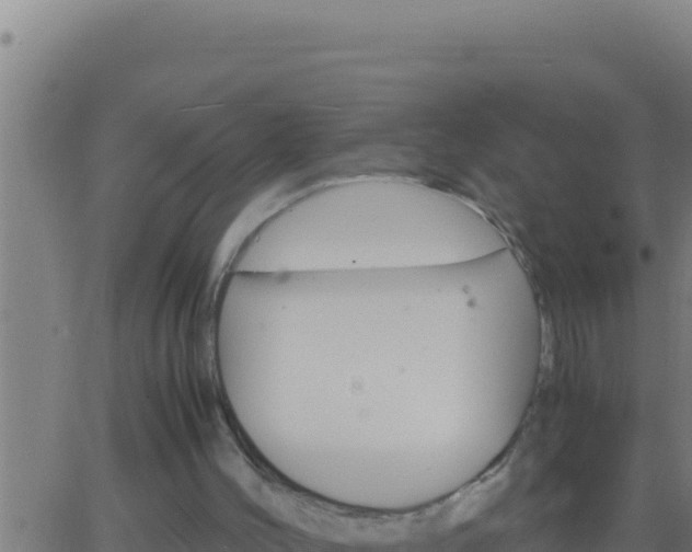 X0000062920004200601202013