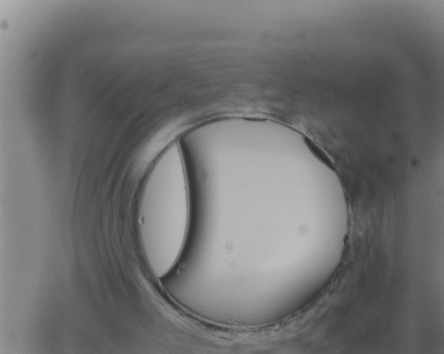 X0000062920005200601202013