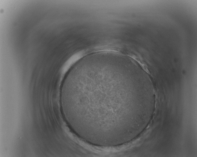 X0000062920006200601202013