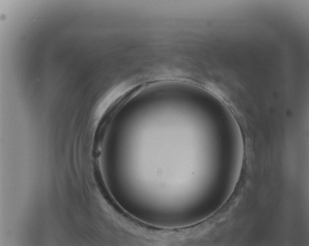 X0000062920007200601202013