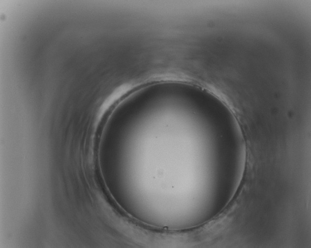 X0000062920008200601202013