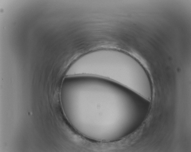 X0000062920009200601202013