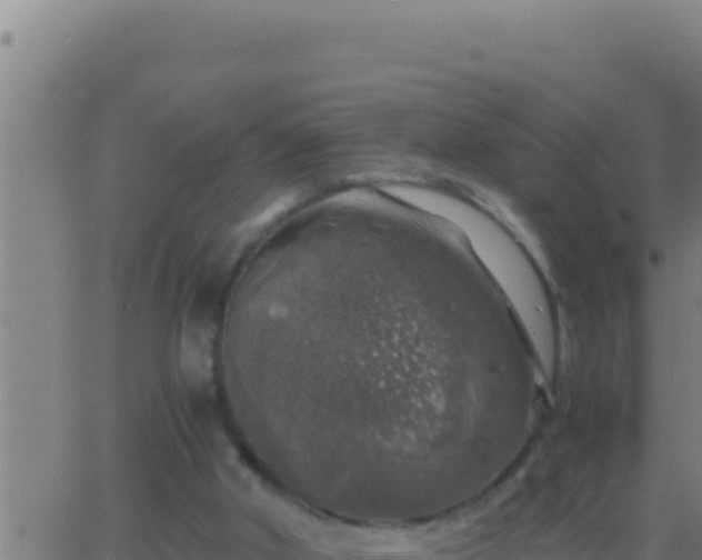 X0000062920010200601202013