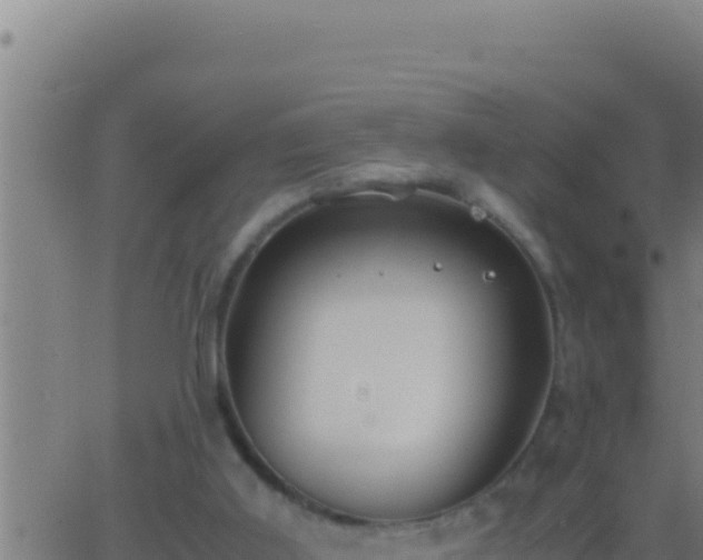 X0000062920011200601202013