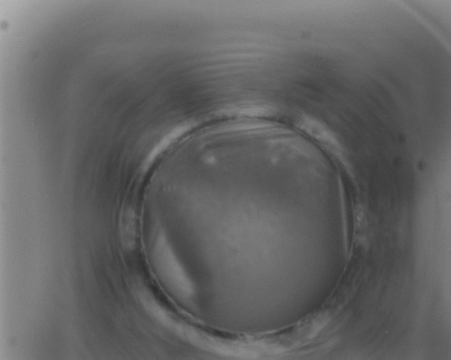 X0000062920012200601202013