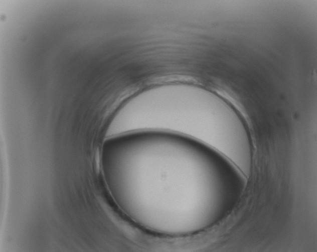 X0000062920013200601202013