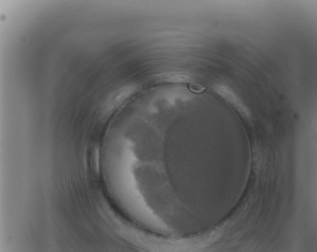 X0000062920014200601202013