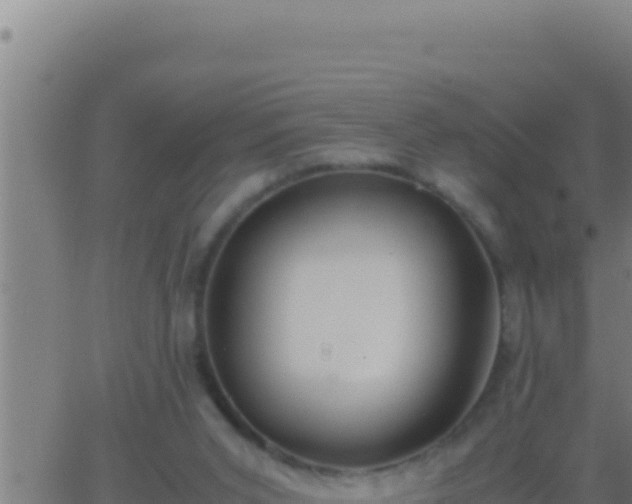 X0000062920015200601202013